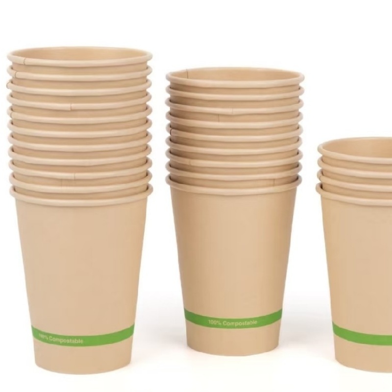 Biodegradable Paper Cup